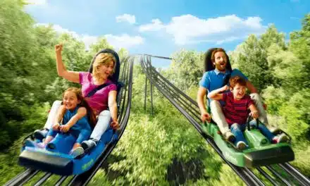Quelles attractions font le plus peur à Bellewaerde ?