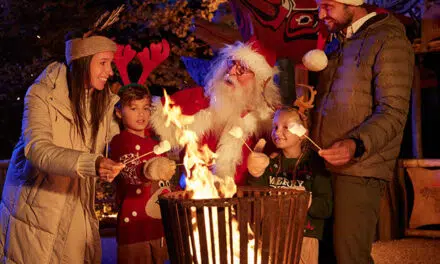 Noël à Bellewaerde